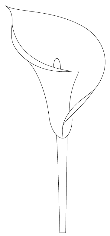 calla lillies coloring pages - photo #46
