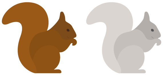 Download Squirrel Svg Freebie